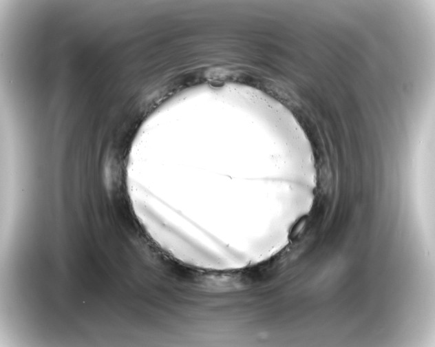 X0000084550375200703161651