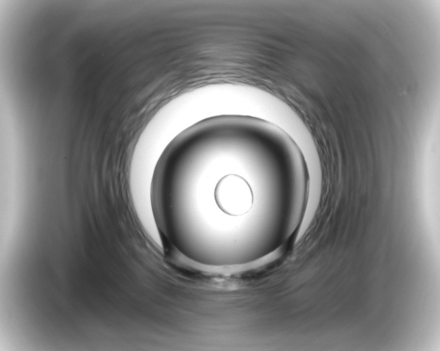 X0000084550376200703161651