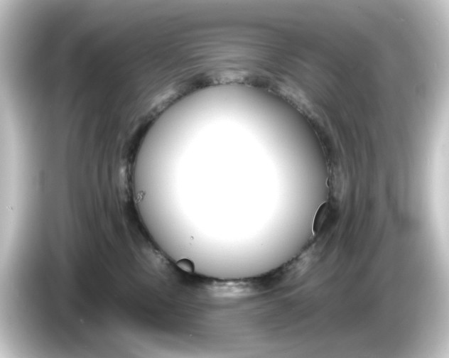 X0000084550378200703161651