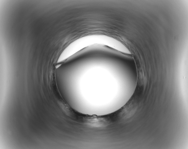 X0000084550379200703161651