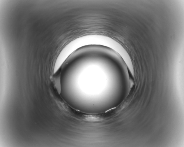 X0000084550380200703161651