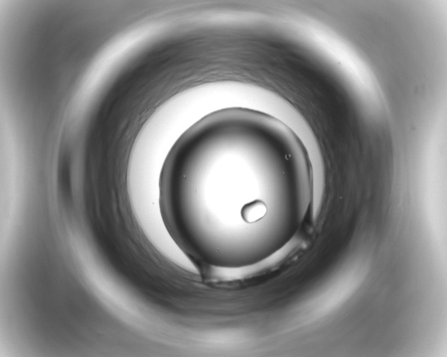 X0000084550382200703161651