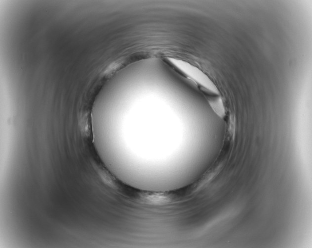 X0000084550383200703161651