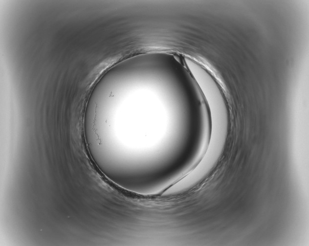 X0000084550385200703161650