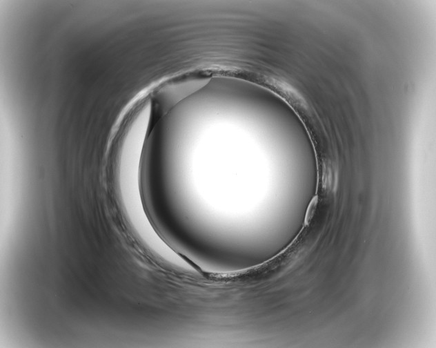 X0000084550388200703161650