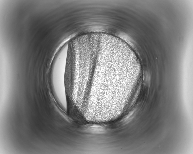 X0000084550390200703161650