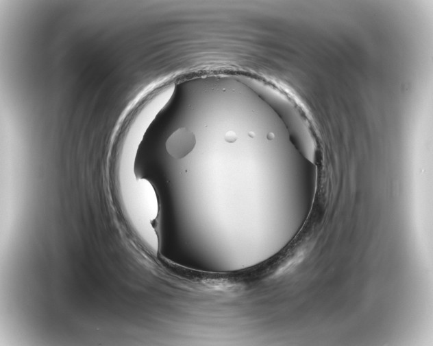 X0000084550391200703161650