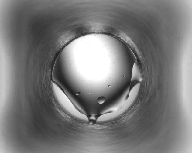 X0000084550393200703161650