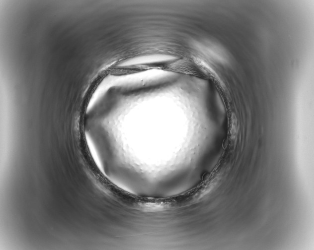 X0000084550394200703161650