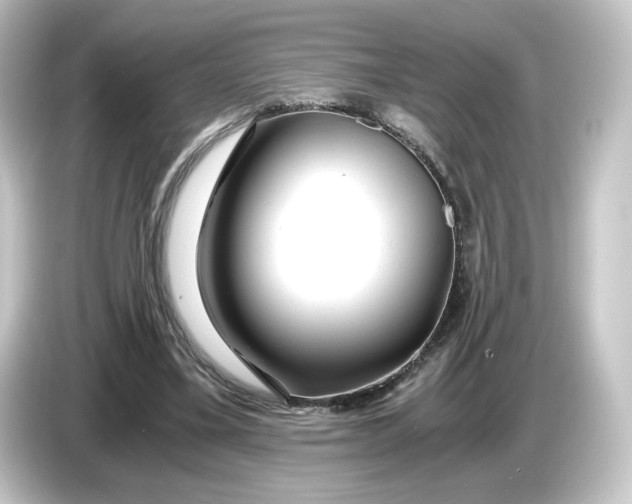 X0000084550395200703161650