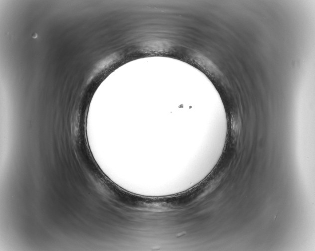 X0000084550396200703161650