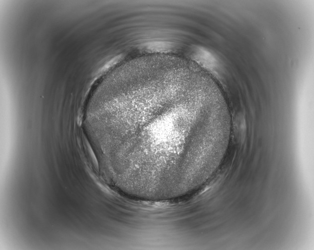 X0000084550398200703161650