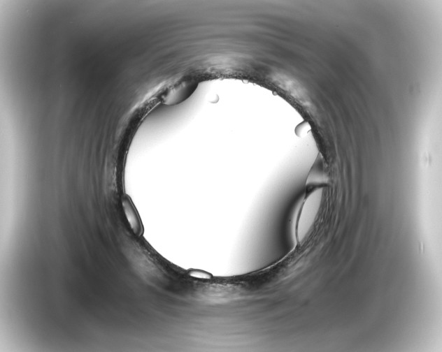 X0000084550399200703161650