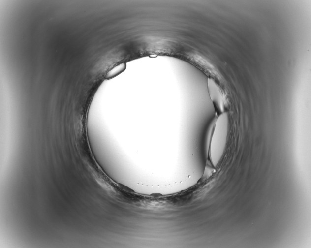 X0000084550401200703161650