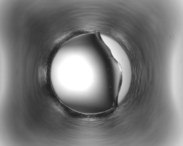 X0000084550404200703161650