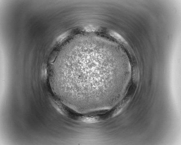 X0000084550405200703161650