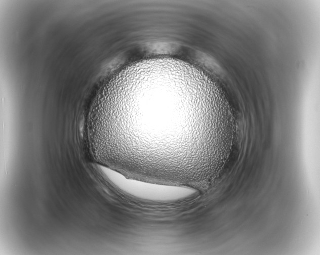 X0000084550406200703161650