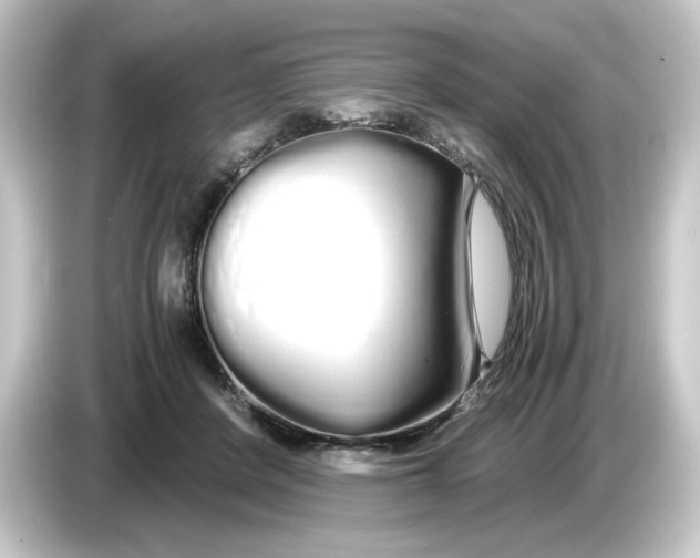 X0000084550408200703161650