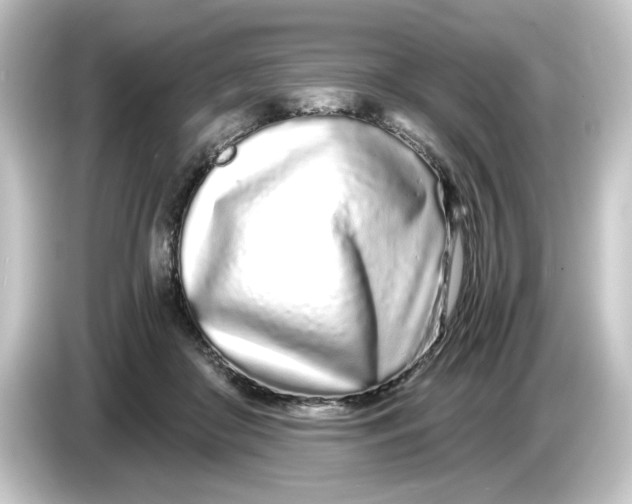 X0000084550410200703161650