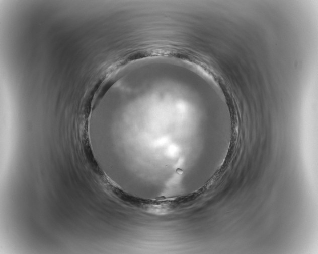 X0000084550411200703161650