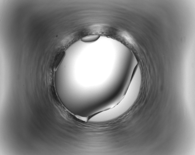 X0000084550413200703161650