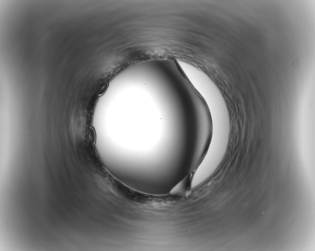 X0000084550416200703161650