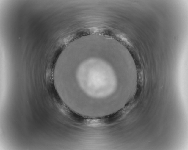 X0000084550419200703161650