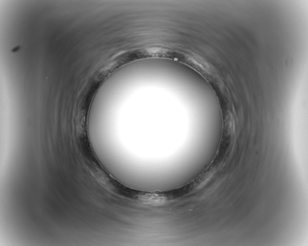 X0000084550421200703161650