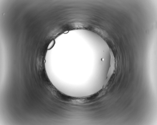 X0000084550422200703161650