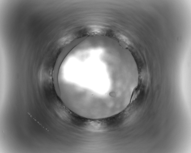 X0000084550423200703161650