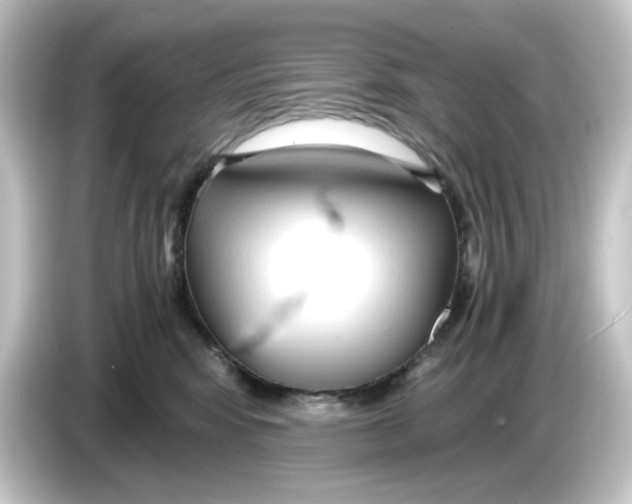 X0000084550424200703161650