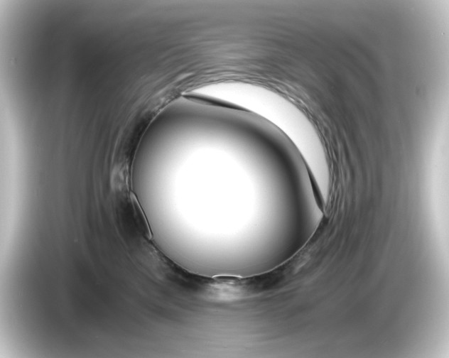 X0000084550425200703161650