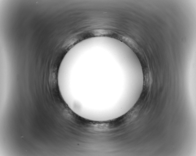 X0000084550426200703161650