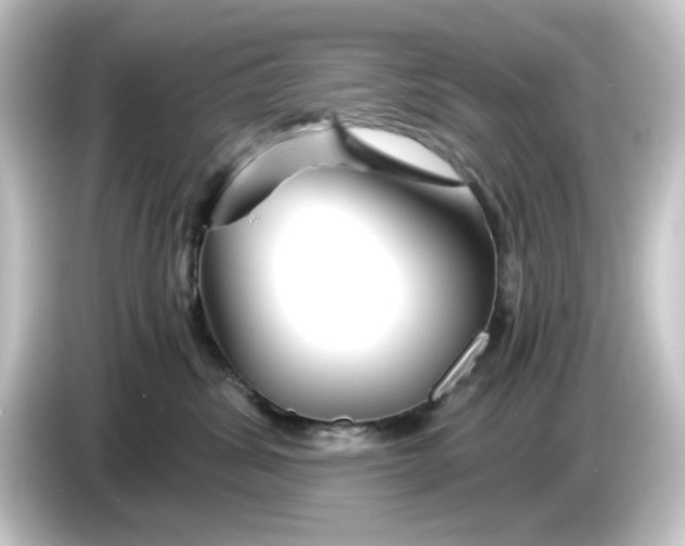 X0000084550428200703161650