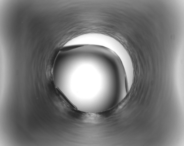 X0000084550429200703161650