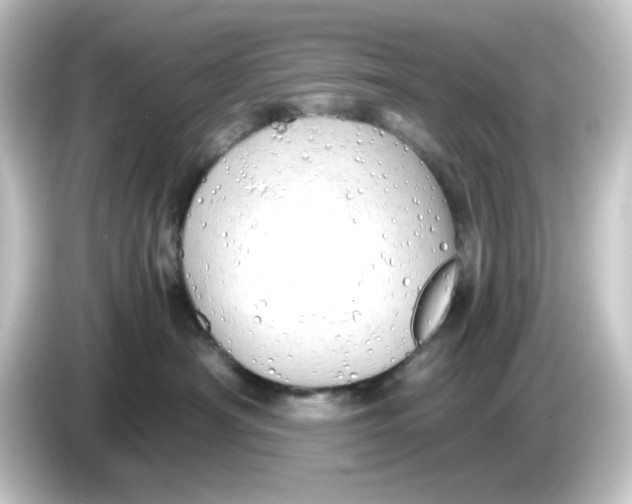 X0000084550430200703161650