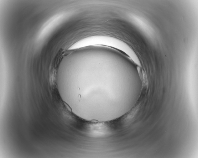 X0000084550431200703161650