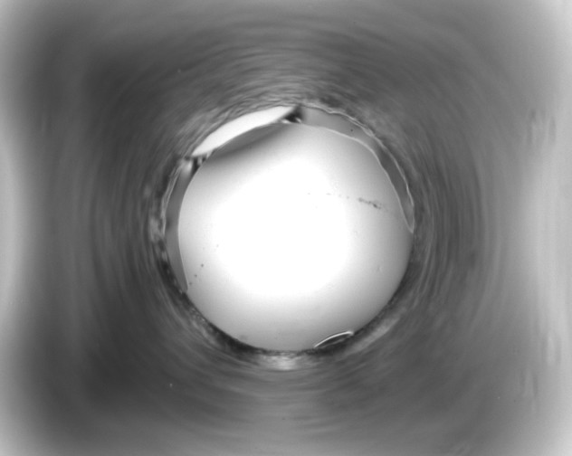 X0000084550432200703161650