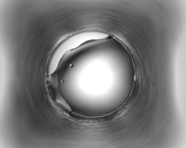 X0000084550434200703161649