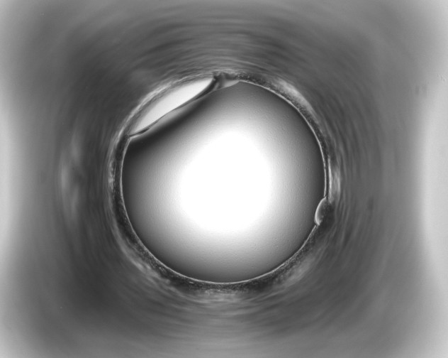 X0000084550435200703161649