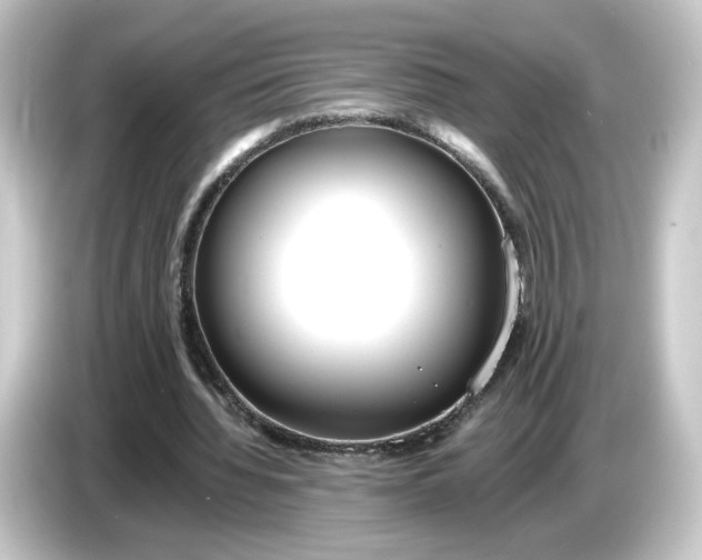 X0000084550436200703161649