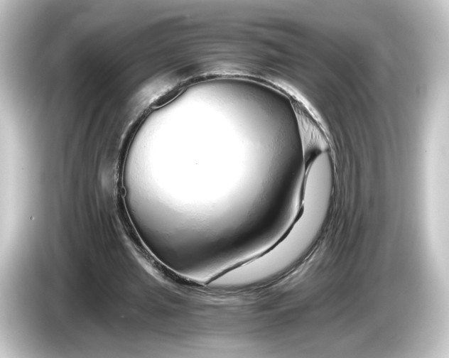 X0000084550437200703161649