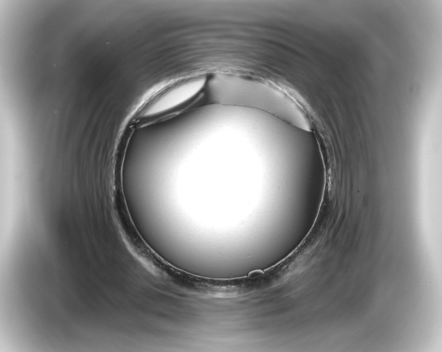 X0000084550438200703161649