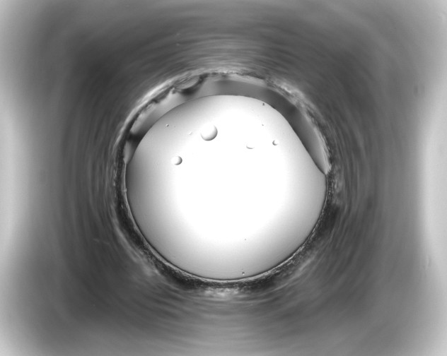 X0000084550440200703161649