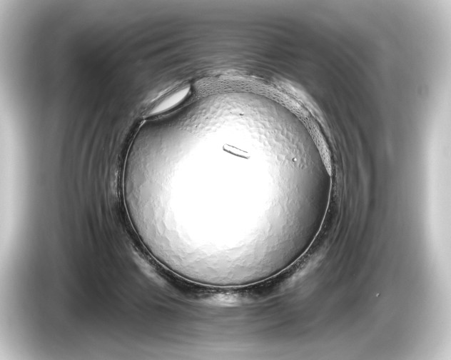 X0000084550441200703161649