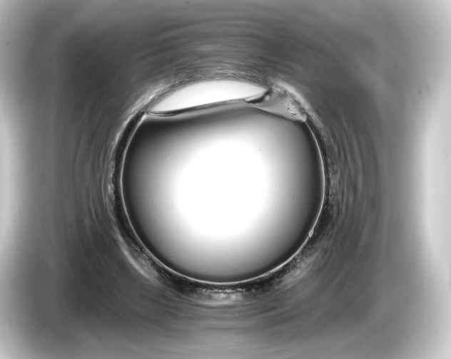 X0000084550443200703161649