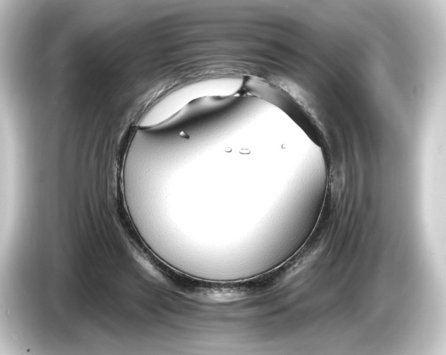 X0000084550445200703161649