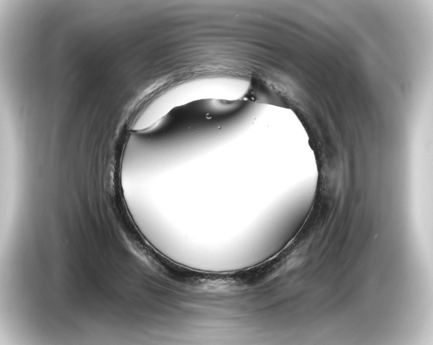 X0000084550446200703161649