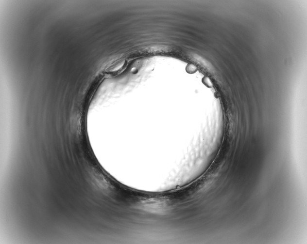 X0000084550447200703161649