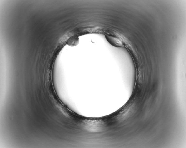 X0000084550449200703161649